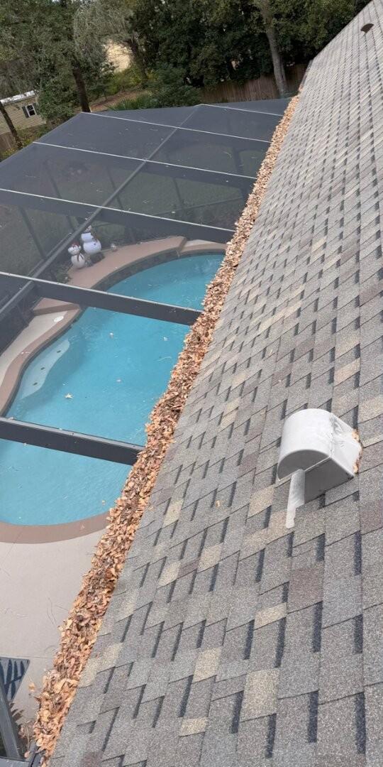 Roofline & Gutter Debris Clearing — before