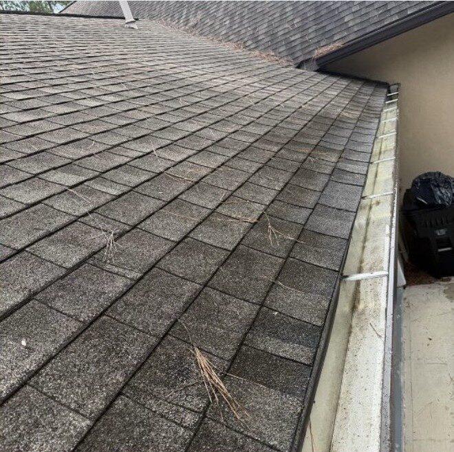 Gutter & Roofline Pine Straw Clearing